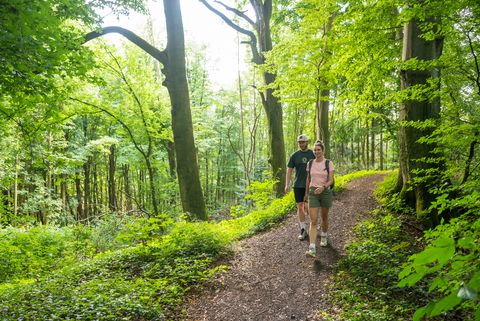Zwei Personen wandern auf einem grünen Waldweg im sonnenbeschienenen Wiehengebirge.