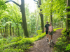 Zwei Personen wandern auf einem grünen Waldweg im sonnenbeschienenen Wiehengebirge.